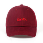 snapback kepurė "damn."